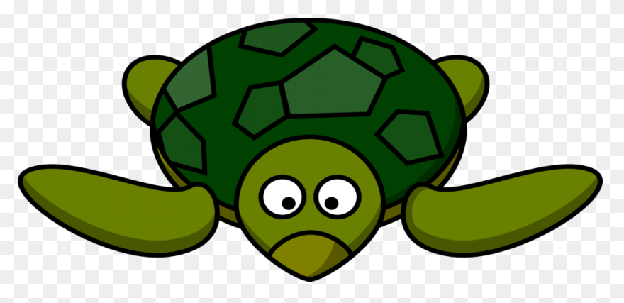 Free Turtle Clipart 2 - ClipartFlar