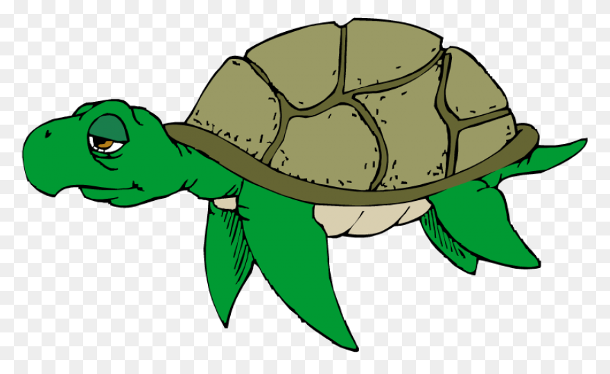 Free Turtle Clipart 2  - Turtle