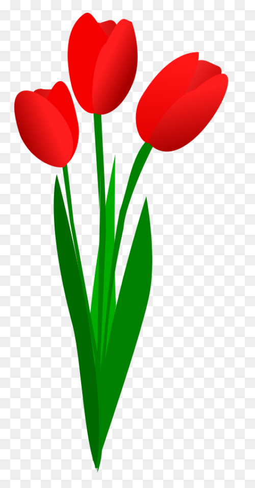 Tulip Nature Sticker - Tulip Nature