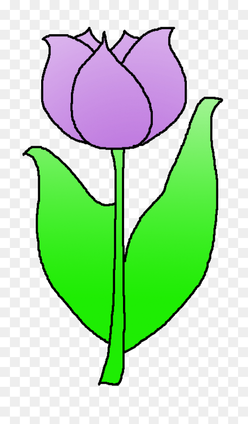 Tulip Nature Sticker - Tulip Nature