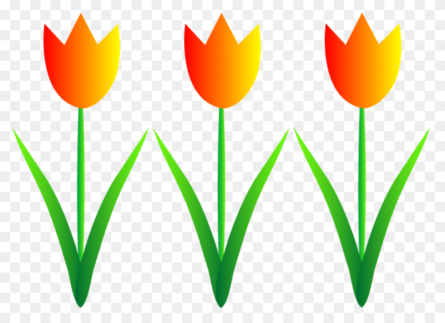 Tulip Nature Sticker - Tulip Nature