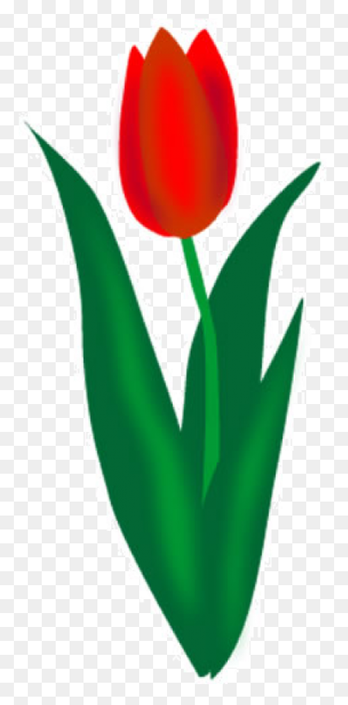 Tulip Nature Sticker - Tulip Nature