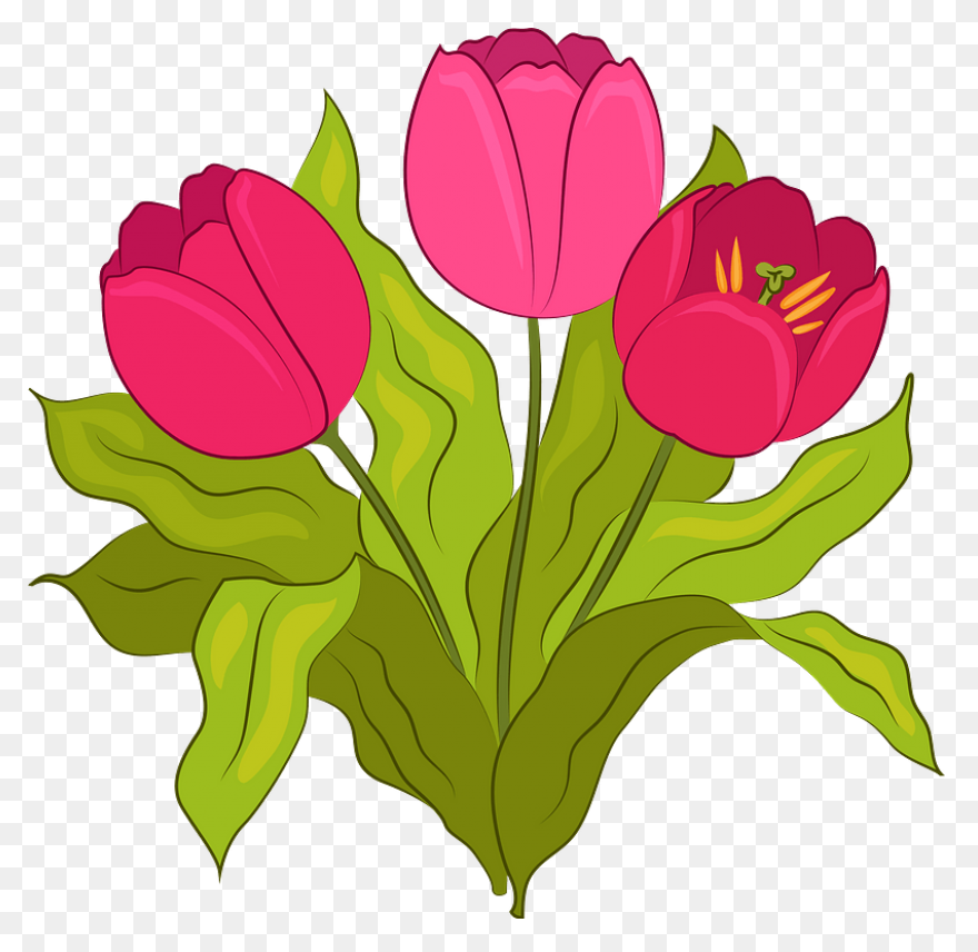 Tulip Nature Sticker - Tulip Nature