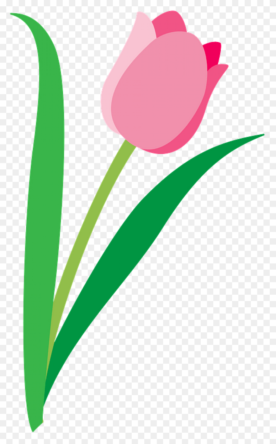 Tulip Nature Sticker - Tulip Nature