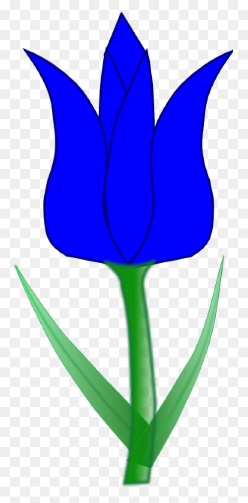 Tulip Nature Sticker - Tulip Nature