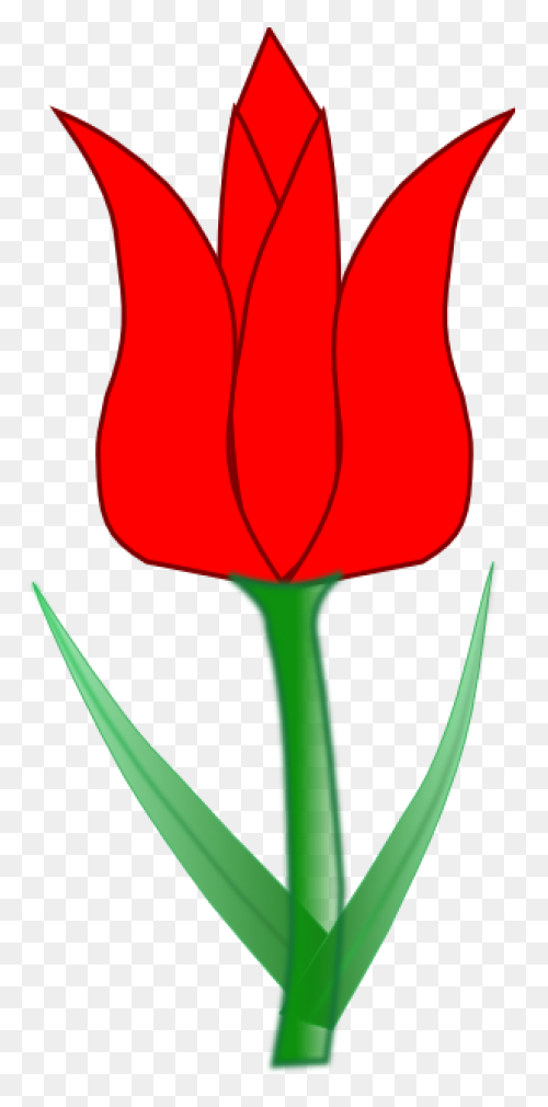 Tulip Nature Sticker - Tulip Nature