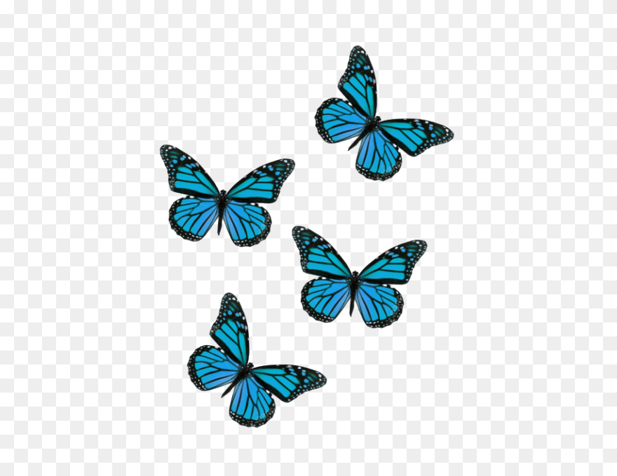 Cute #png #sticker #stickers #tumbl