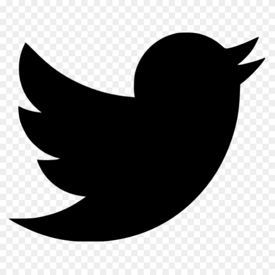Free Twitter Bird Transparent Backg