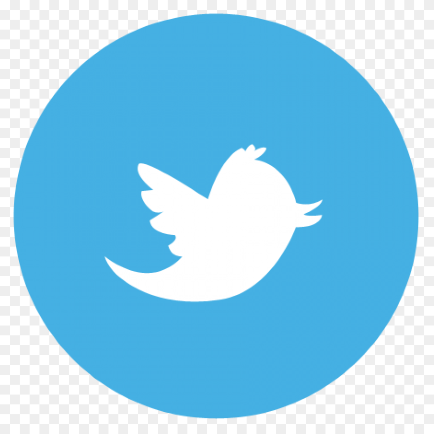 Free Twitter Bird Transparent Backg