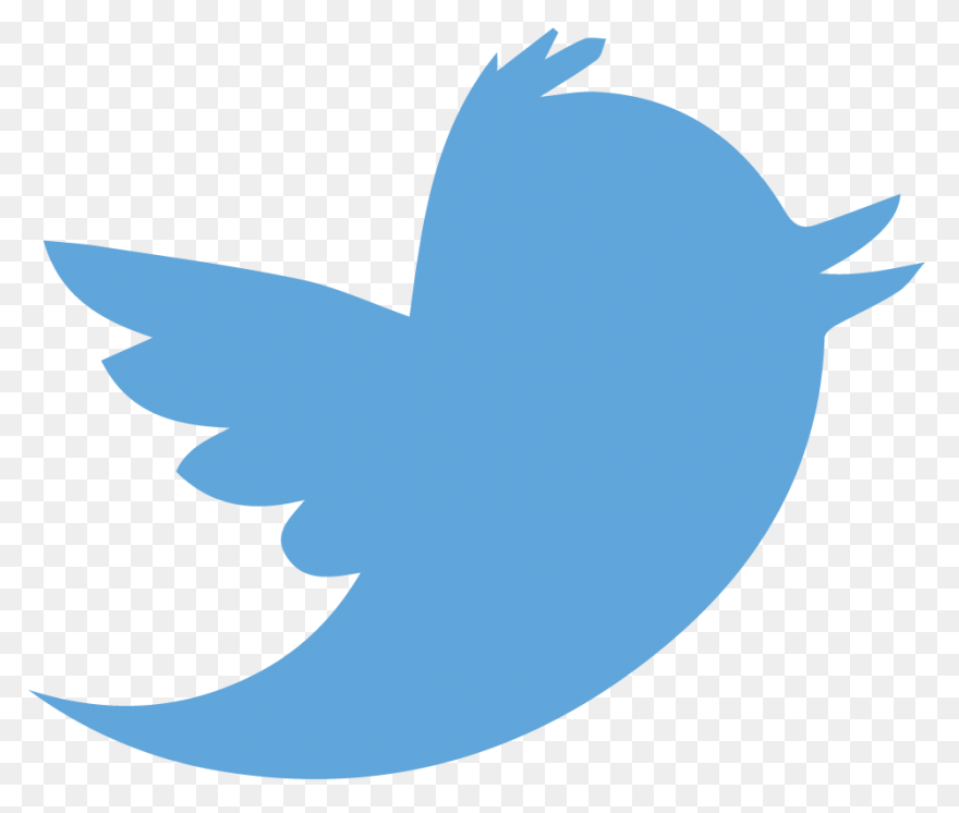 Free Twitter Bird Transparent Backg