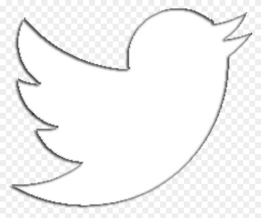 Free Twitter Bird Transparent Backg