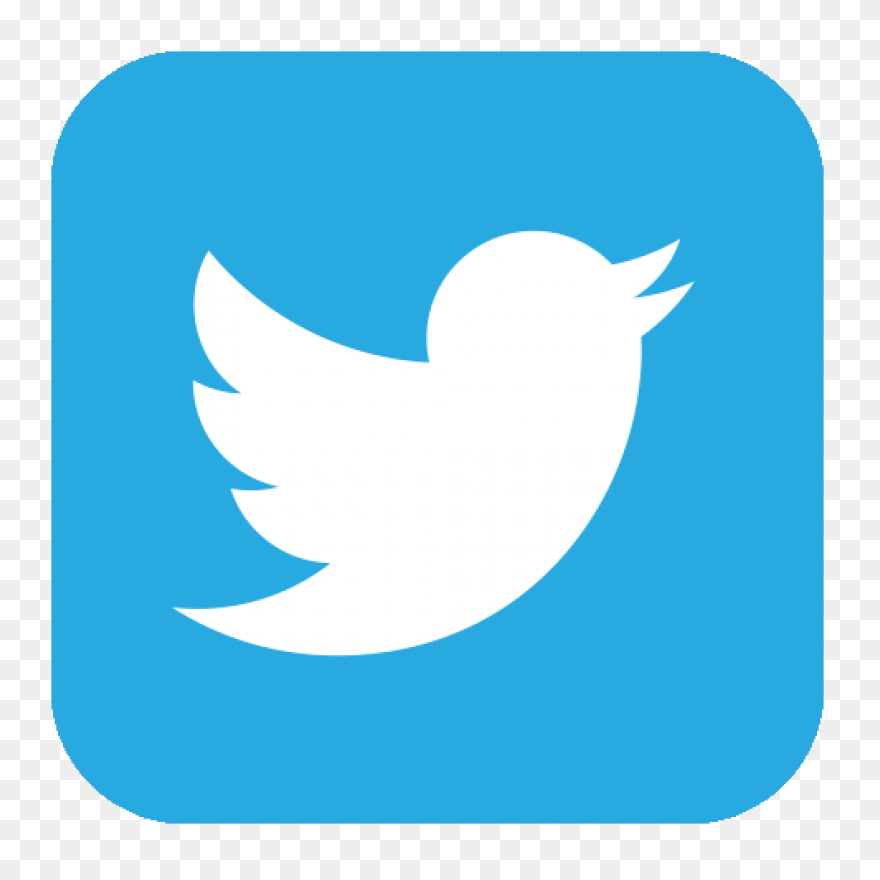 Free Twitter Bird Transparent Backg