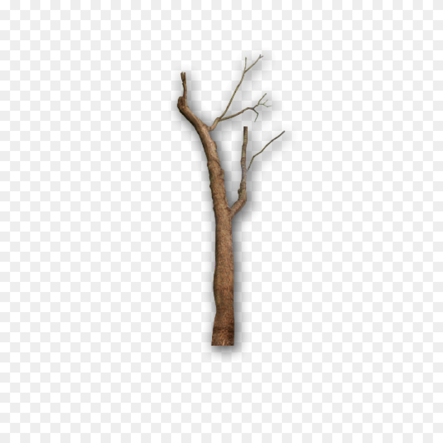 Grass B 1Particles 6 - Twig Clipart