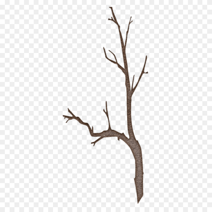 Grass B 1Particles 6 - Twig Clipart