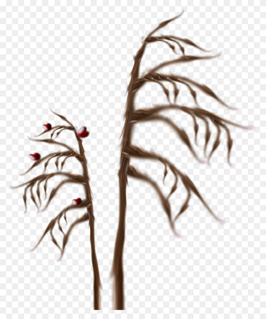 Grass B 1Particles 6 Twig - Twig