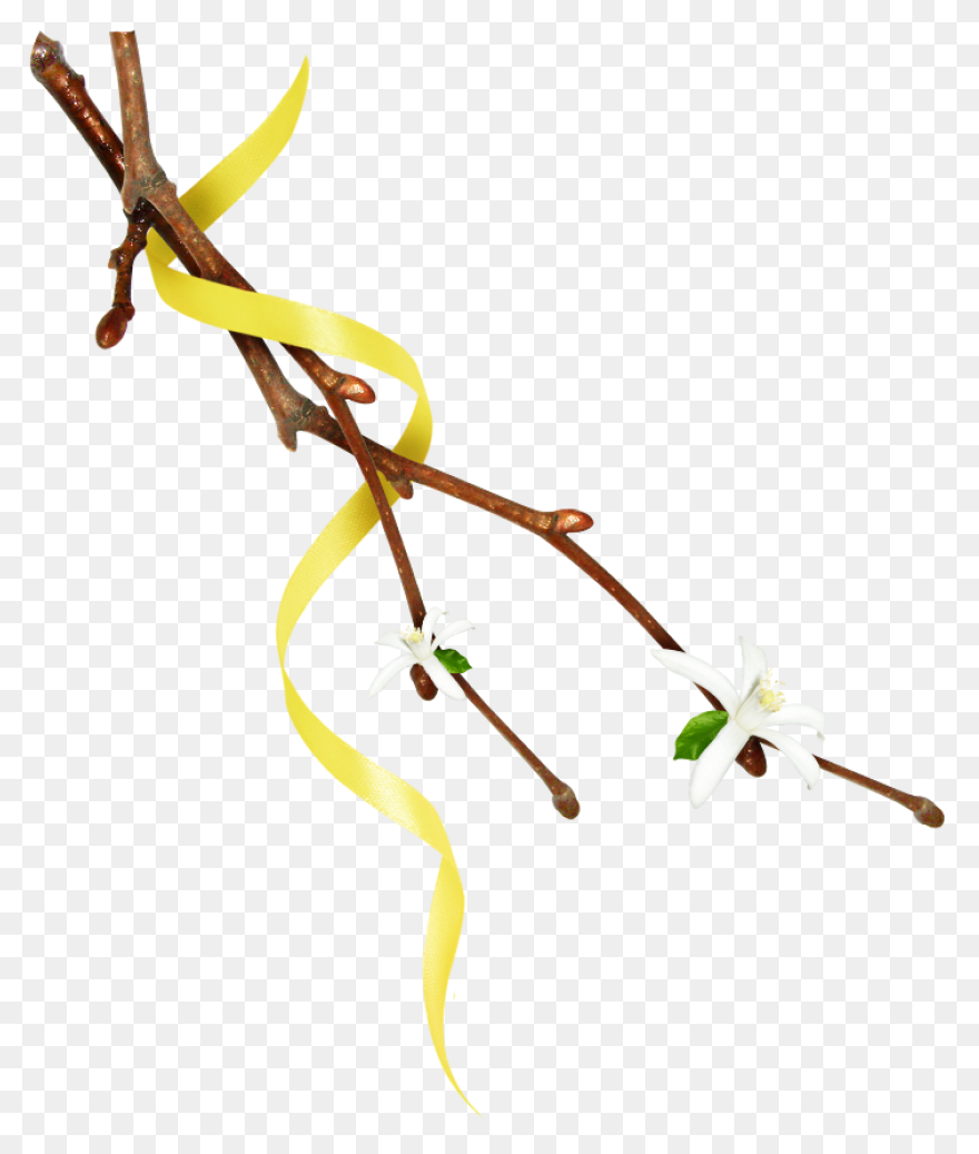 Grass B 1Particles 6 - Twig Clipart