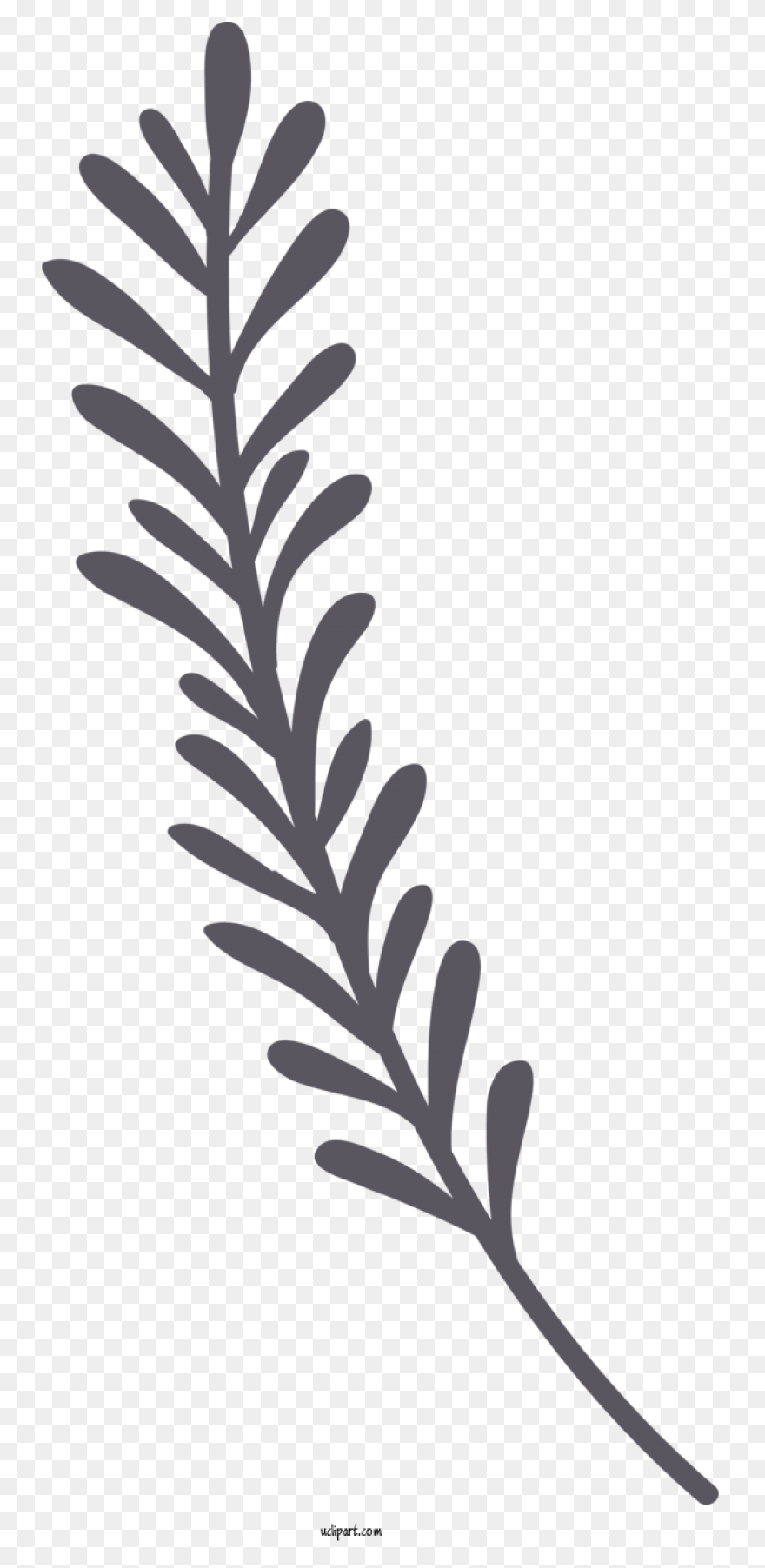 Grass B 1Particles 6 - Twig Clipart