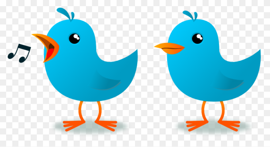 Twitter, Twitter Bird Button, Twitt