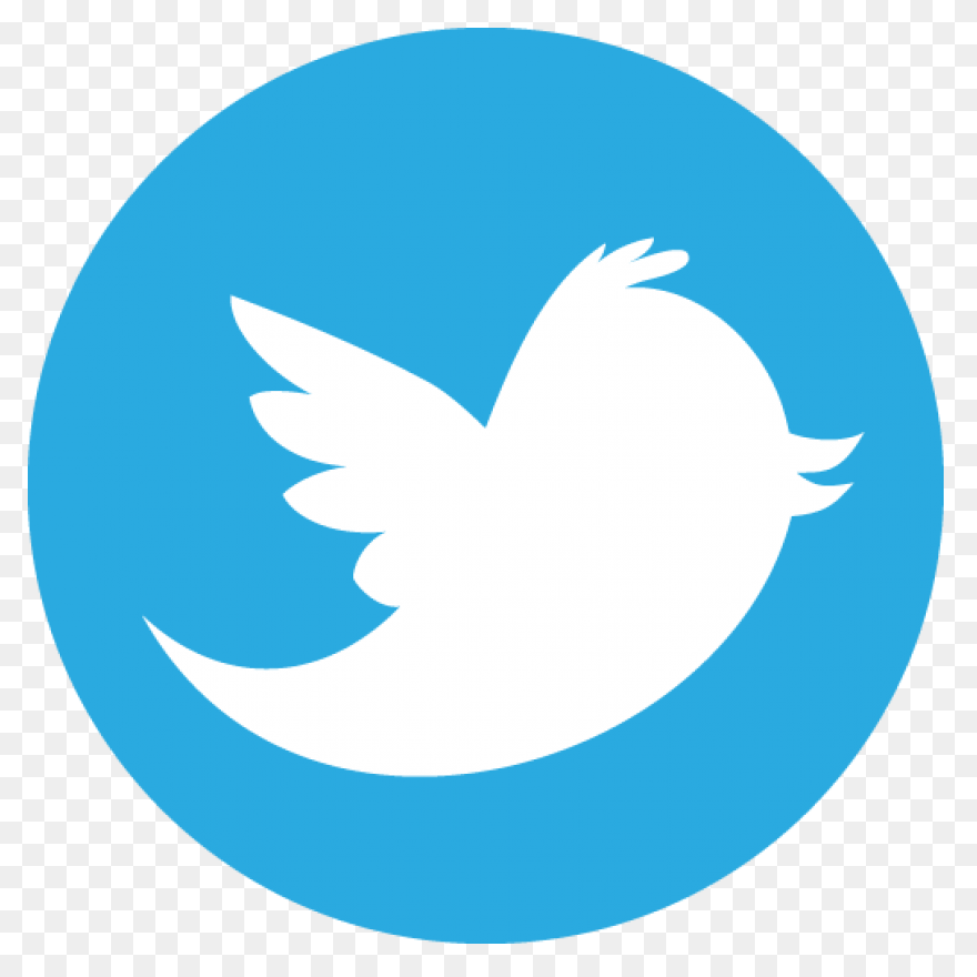 Free Twitter Bird White Png, Downlo