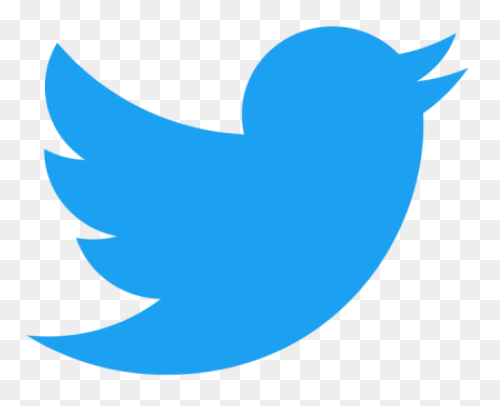 Free Twitter Bird White Png, Downlo