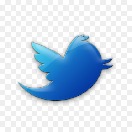 Free Twitter Bird White Png, Downlo