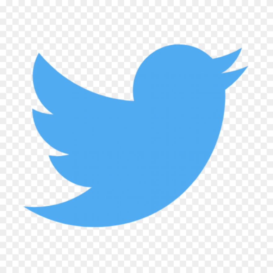 Free Twitter Bird White Png, Downlo