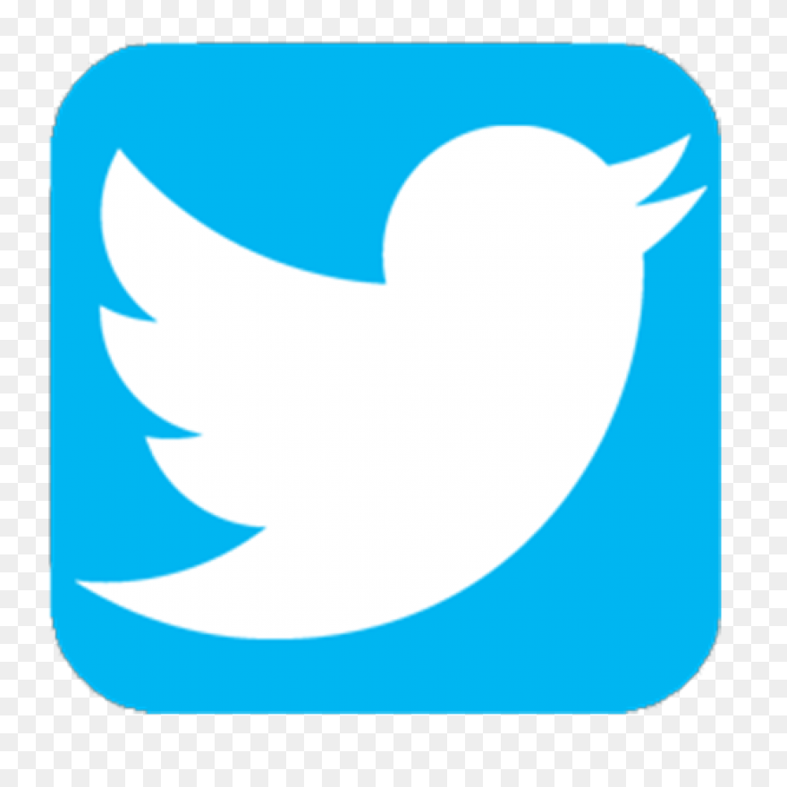 Free Twitter Bird White Png, Downlo