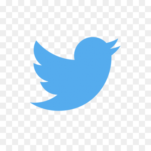 Free Twitter Bird White Png, Downlo