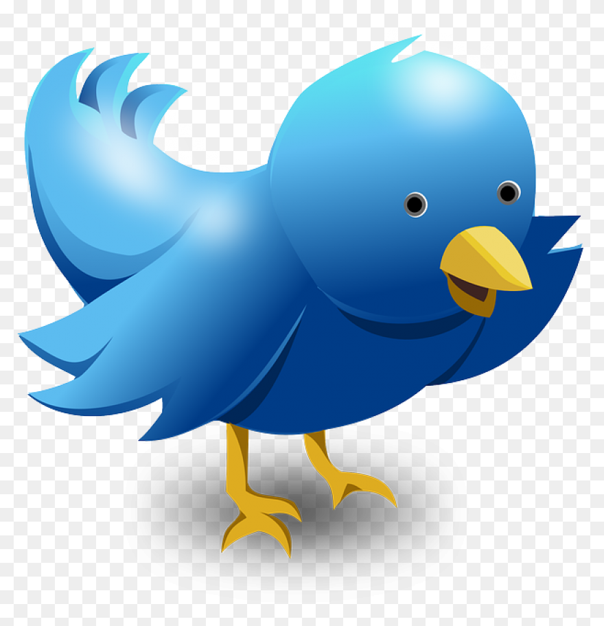How To Use Twitter Lists To Optimis
