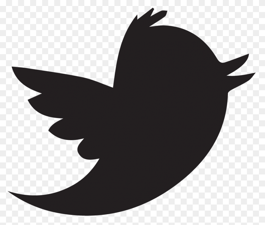 How To Use Twitter Lists To Optimis