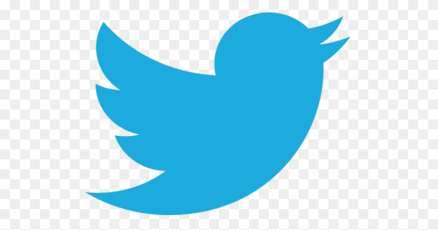 How To Use Twitter Lists To Optimis