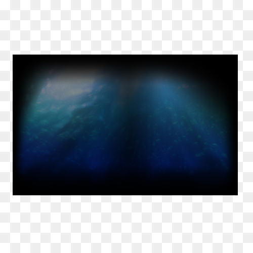 The Digital Shootout Underwater Ima