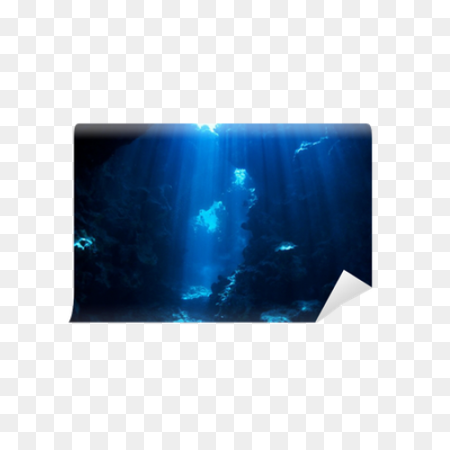 The Digital Shootout Underwater Ima