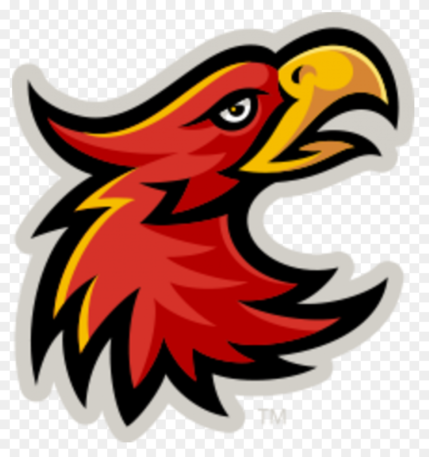 University Of Arizona - Engage - Vi