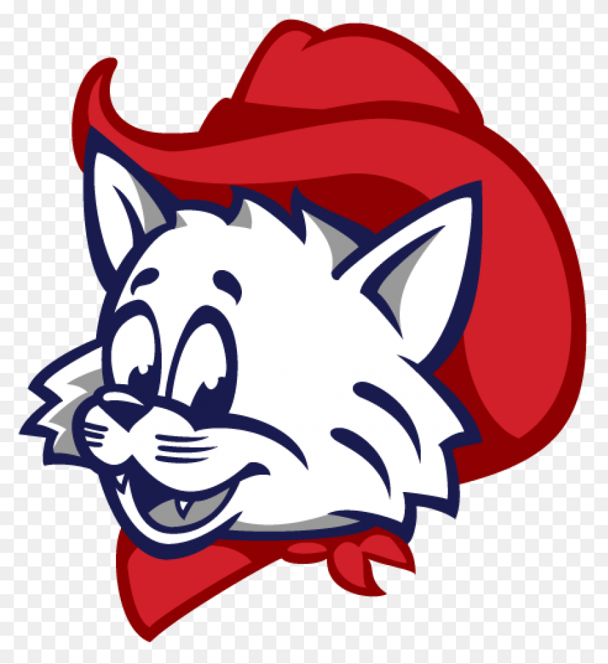 University Of Arizona - Engage - Vi