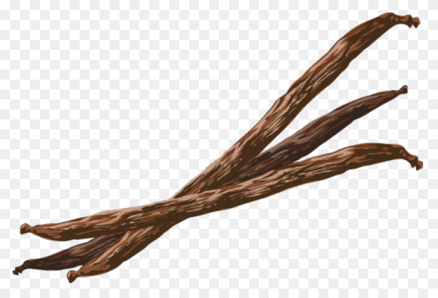 Vanilla Extract - Ayurvedic Ingredi