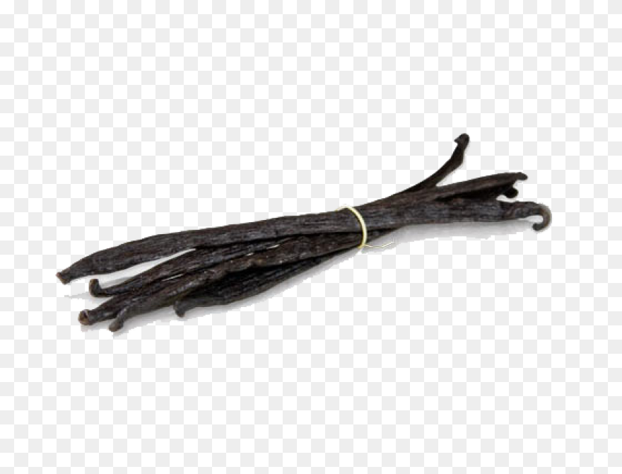 Vanilla Extract - Ayurvedic Ingredi