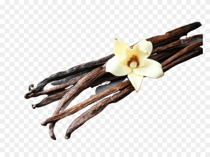 Vanilla Extract - Ayurvedic Ingredi