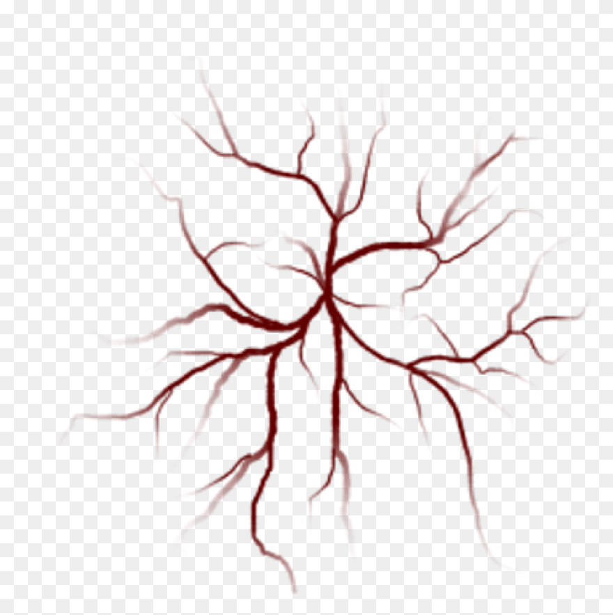 Coronary Veins | Cardiac Veins