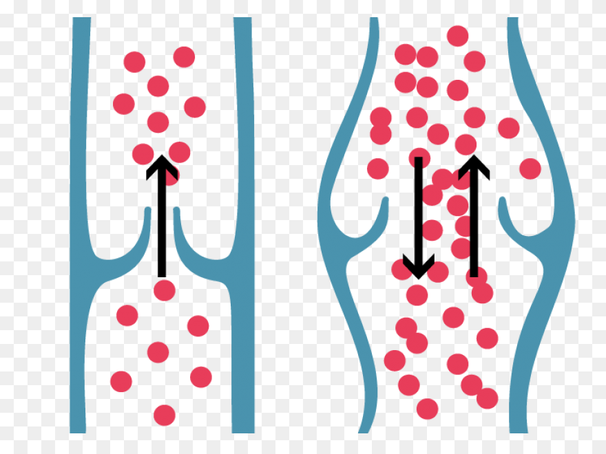 Coronary Veins | Cardiac Veins