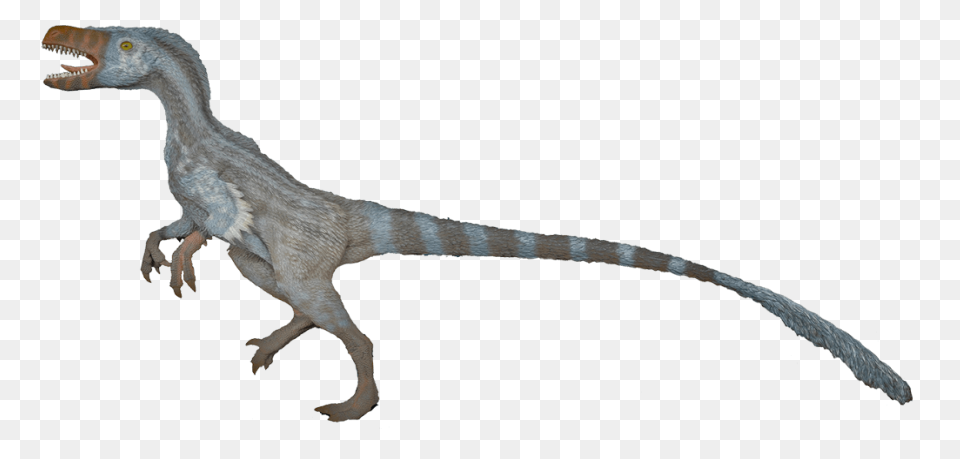 Blue | Jurassic Park Wiki - Velociraptor