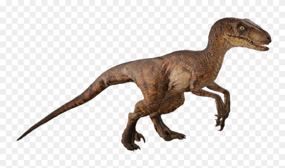 Dinosaur Clipart Velociraptor Velociraptor Silhouette - Velociraptor
