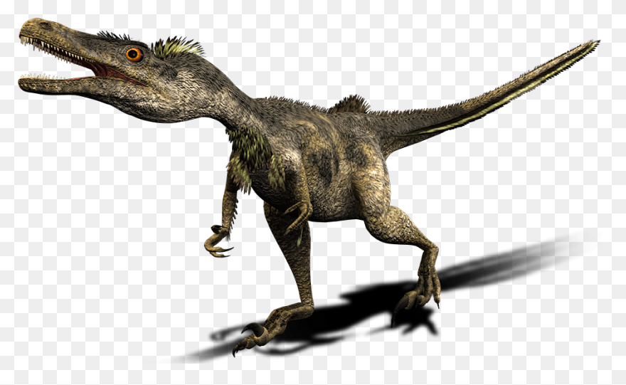 Velociraptor/generation 2 | Walking With - Velociraptor