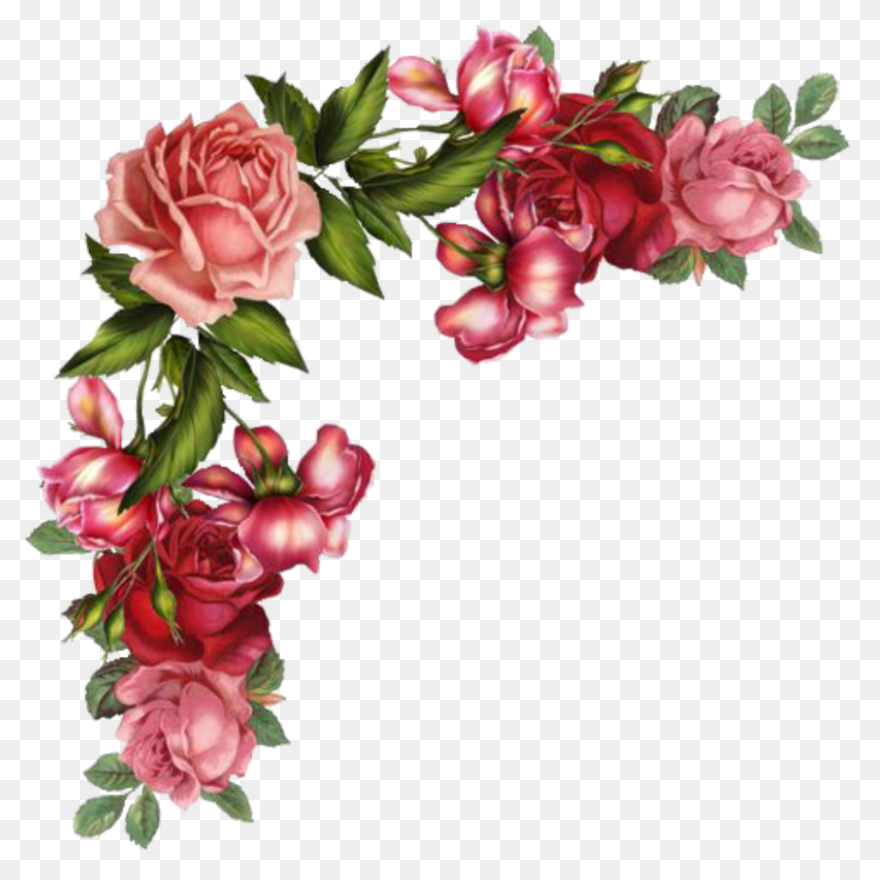 Best Download Фотки Flower Art