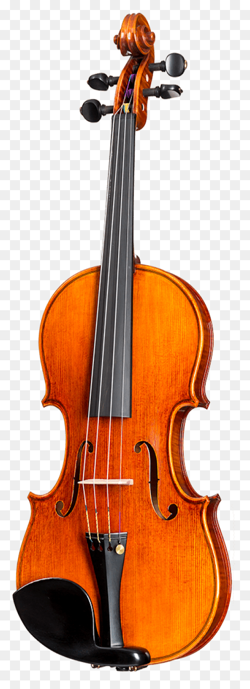 Aubert Lutherie Delange Model 4/4 - Violin