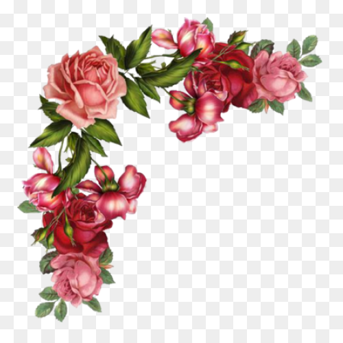 Border Design Flower Vintage Png Cl