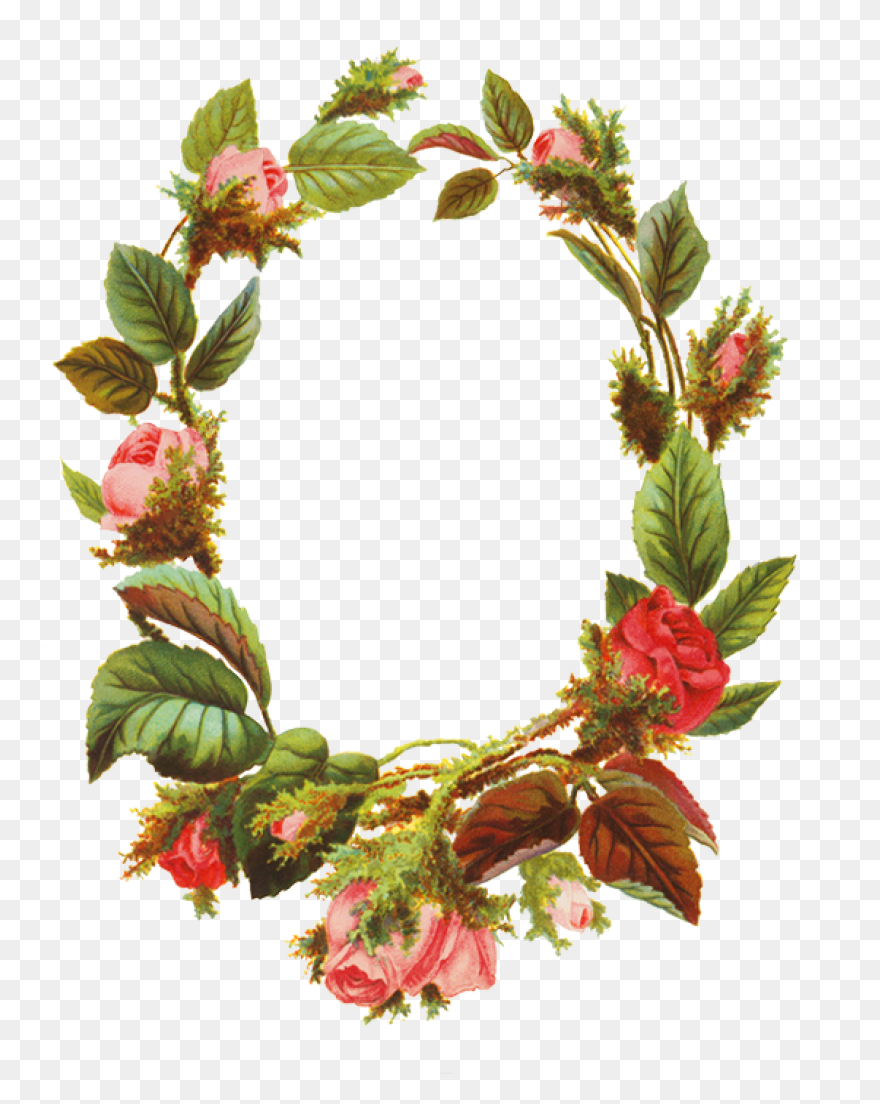 Border Design Flower Vintage Png Cl