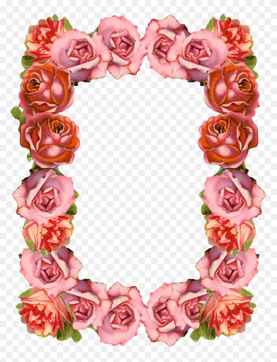 Border Design Flower Vintage Png Cl