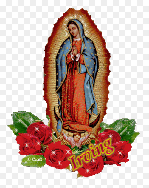 Birjen De Guadalupe Fondo - Imagui
