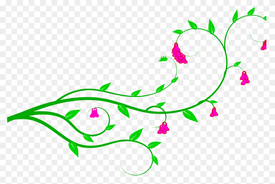 Free Clip Art Vines Clipart - Clipa